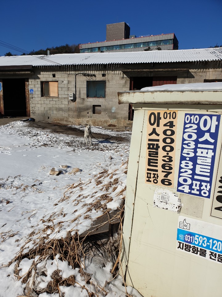 영하 20도의 날씨의 남양주 수동면에서 이불 하나 없이 얼어 굳어가고 있습니다