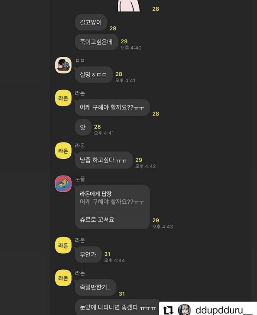 카카오톡 오픈채팅 고양이 학대 