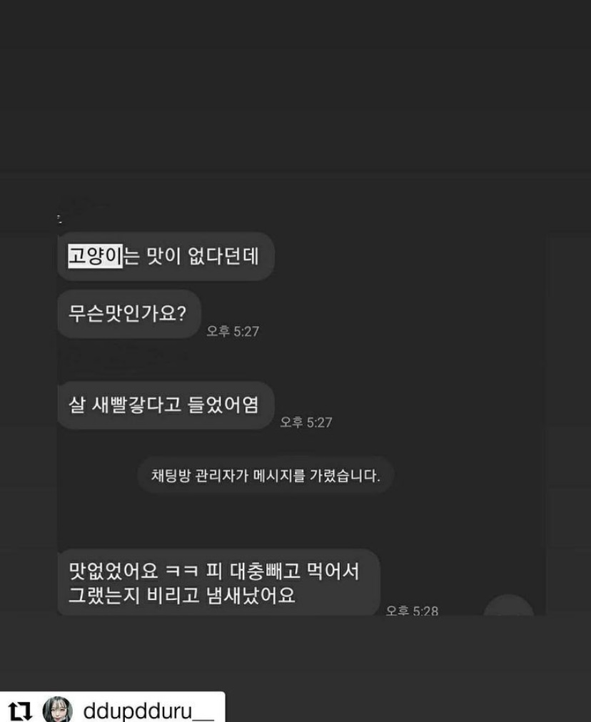 카카오톡 오픈채팅 고양이 학대 