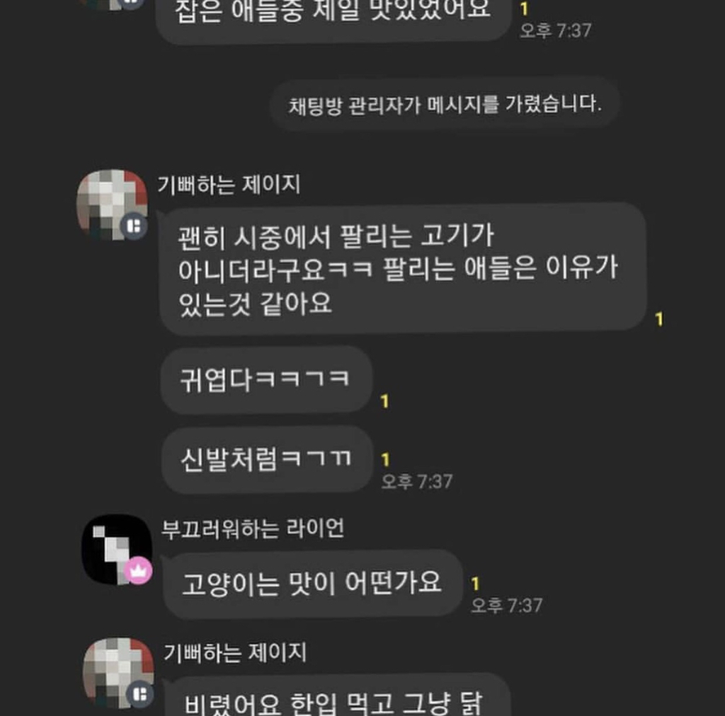 카카오톡 오픈채팅방 고양이 학대
