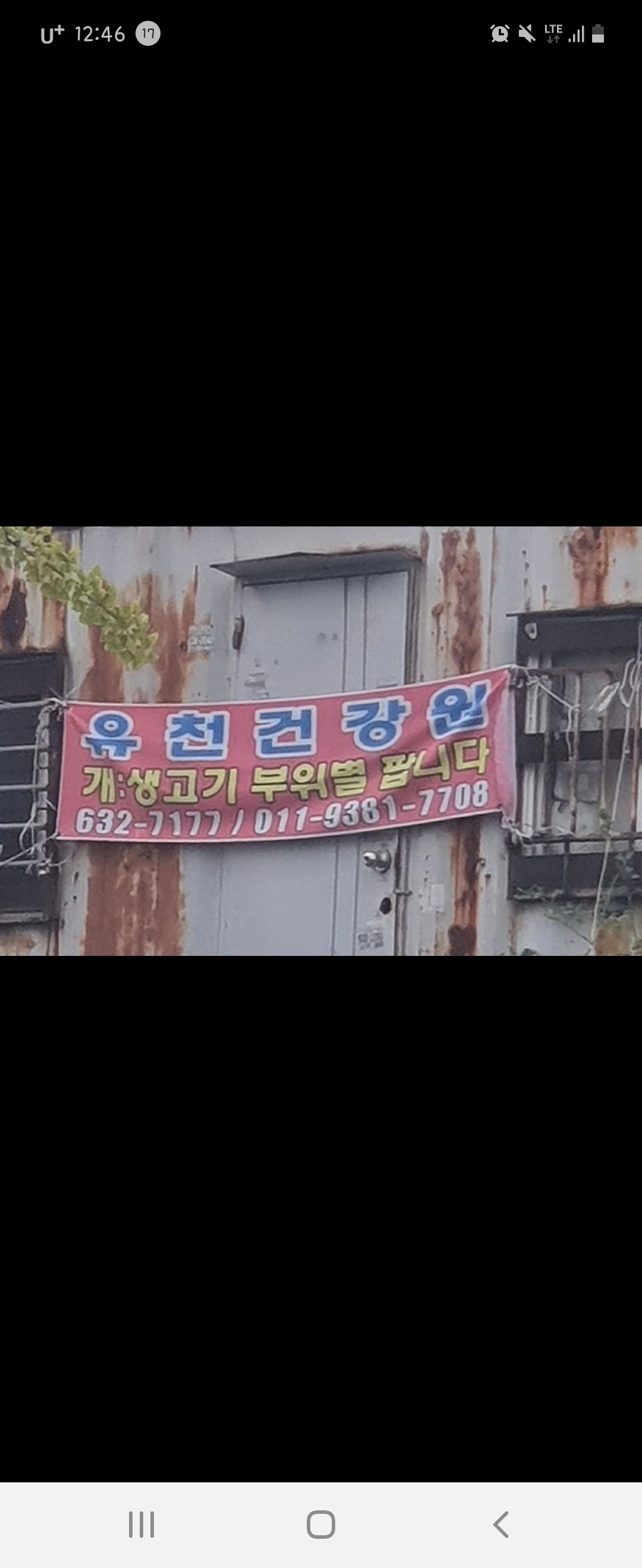 저희동네에 도살장이있어요...