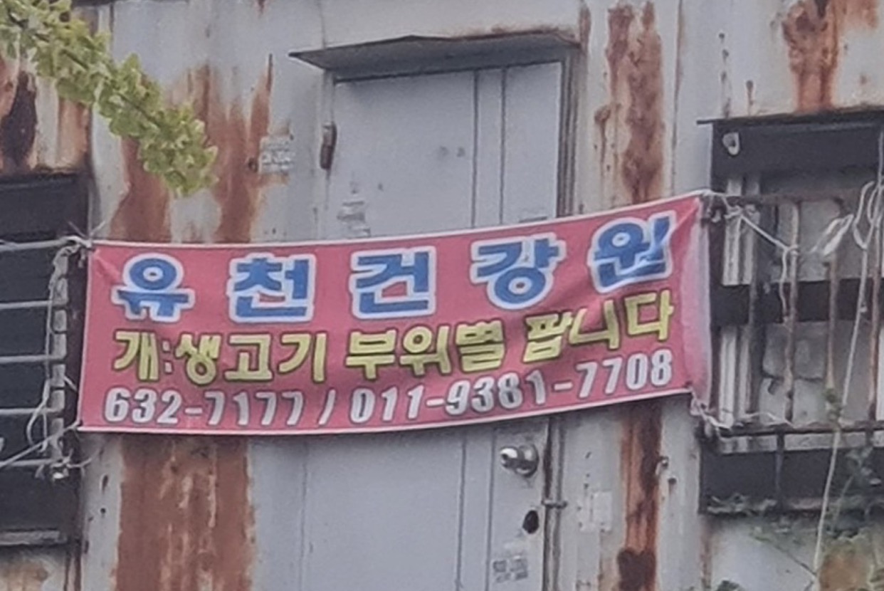 동네에 불법 도축 도살장이 있습니다