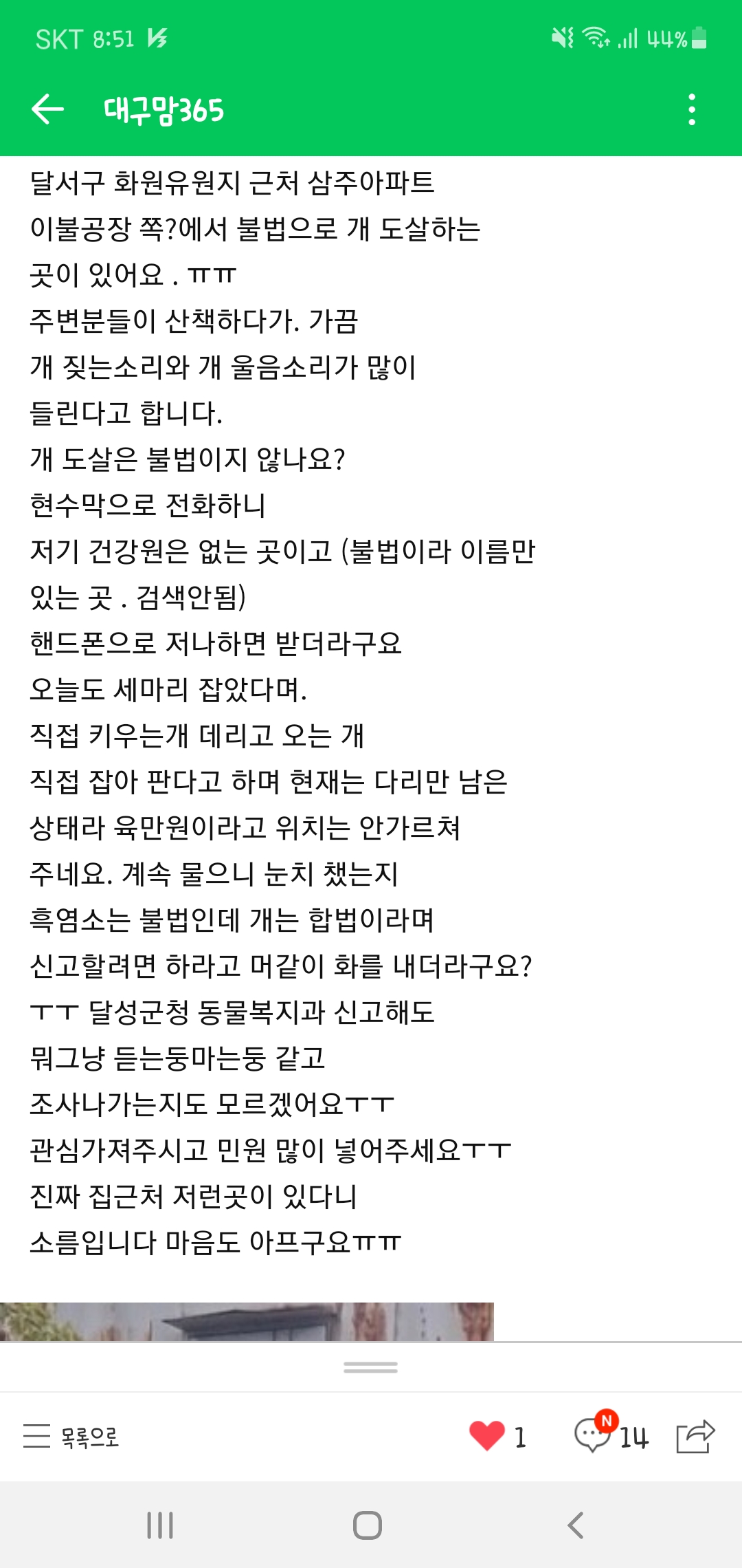 불법개도축판매