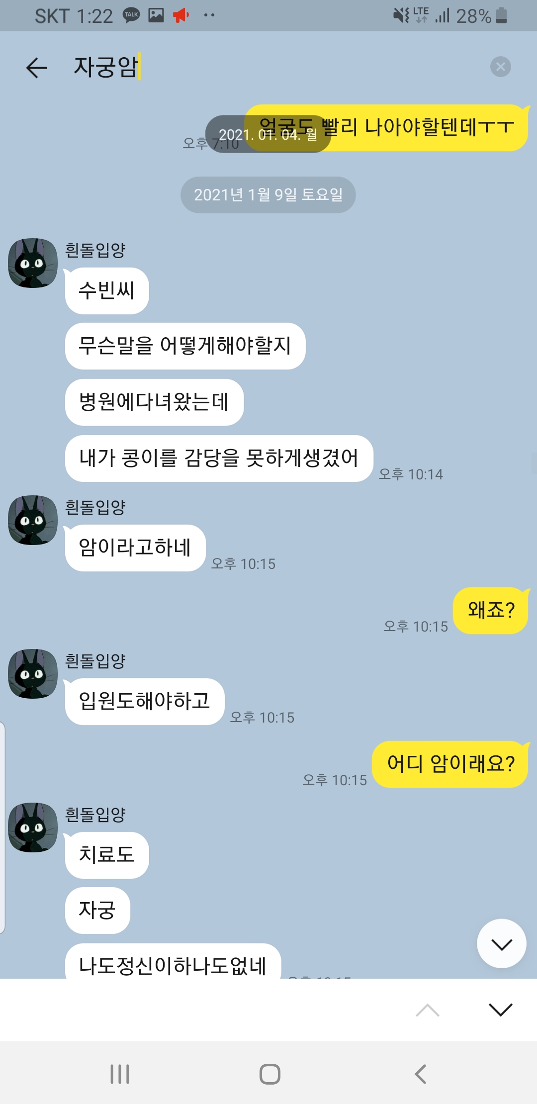 고양이 호더 신고합니다.