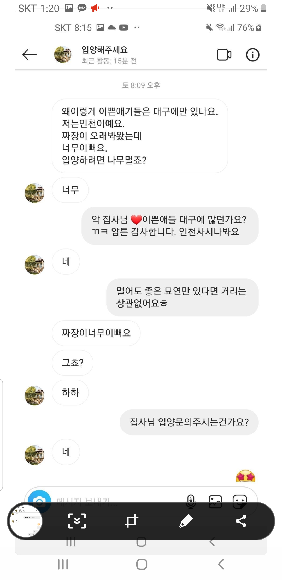 고양이 호더 신고합니다.