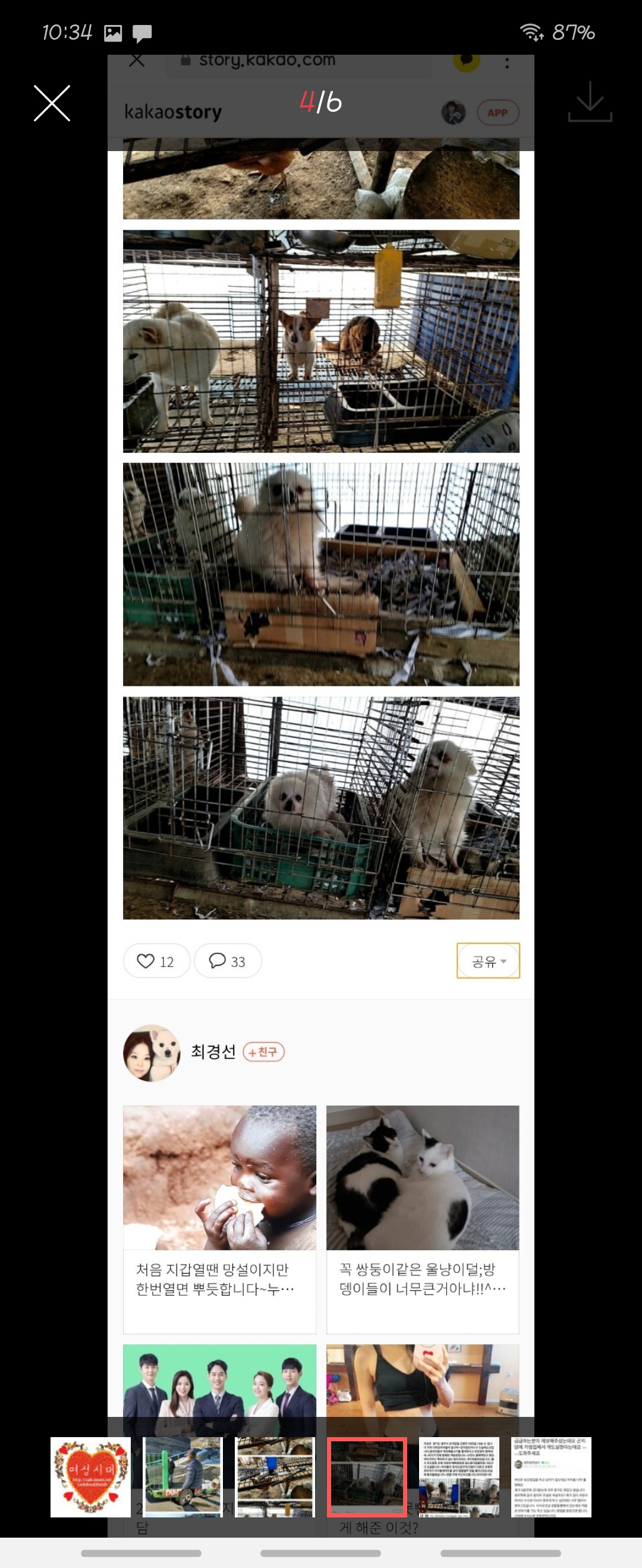 가정집에서 개도살 행위