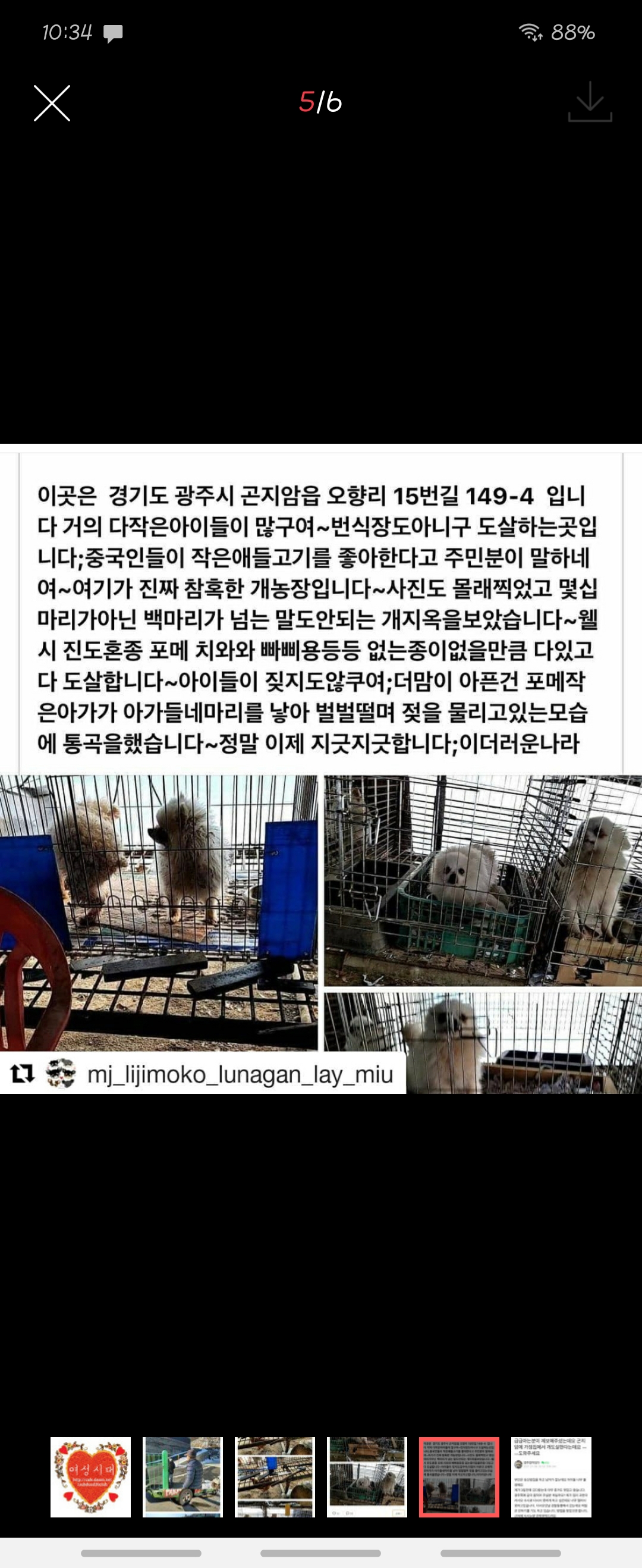 가정집에서 개도살 행위