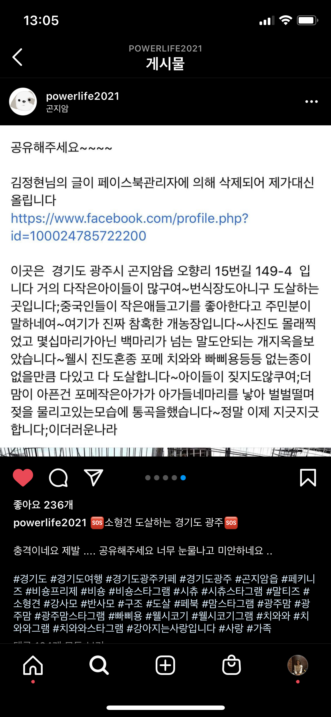 소형견 도살하는 경기도 광주