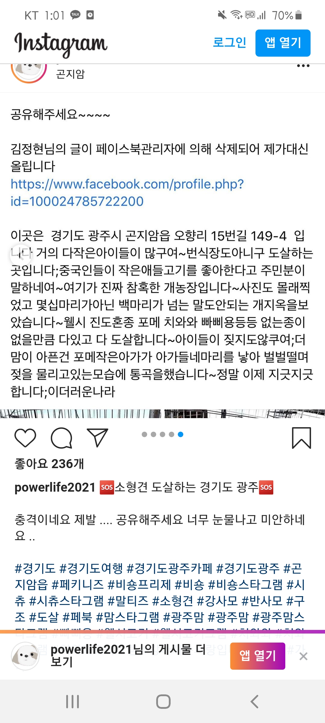 경기 광주시 곤지암읍 참혹한 소형견 불법도살 진행중입니다!!