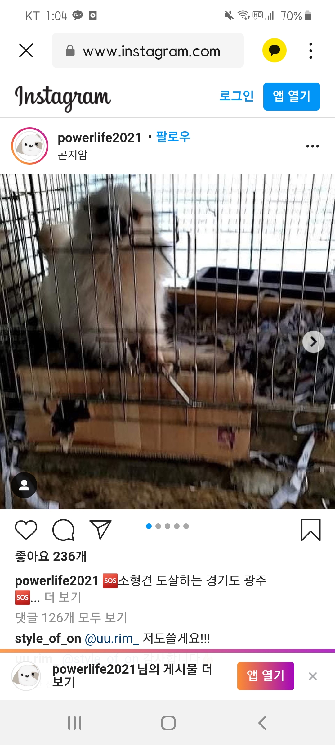 경기 광주시 곤지암읍 참혹한 소형견 불법도살 진행중입니다!!