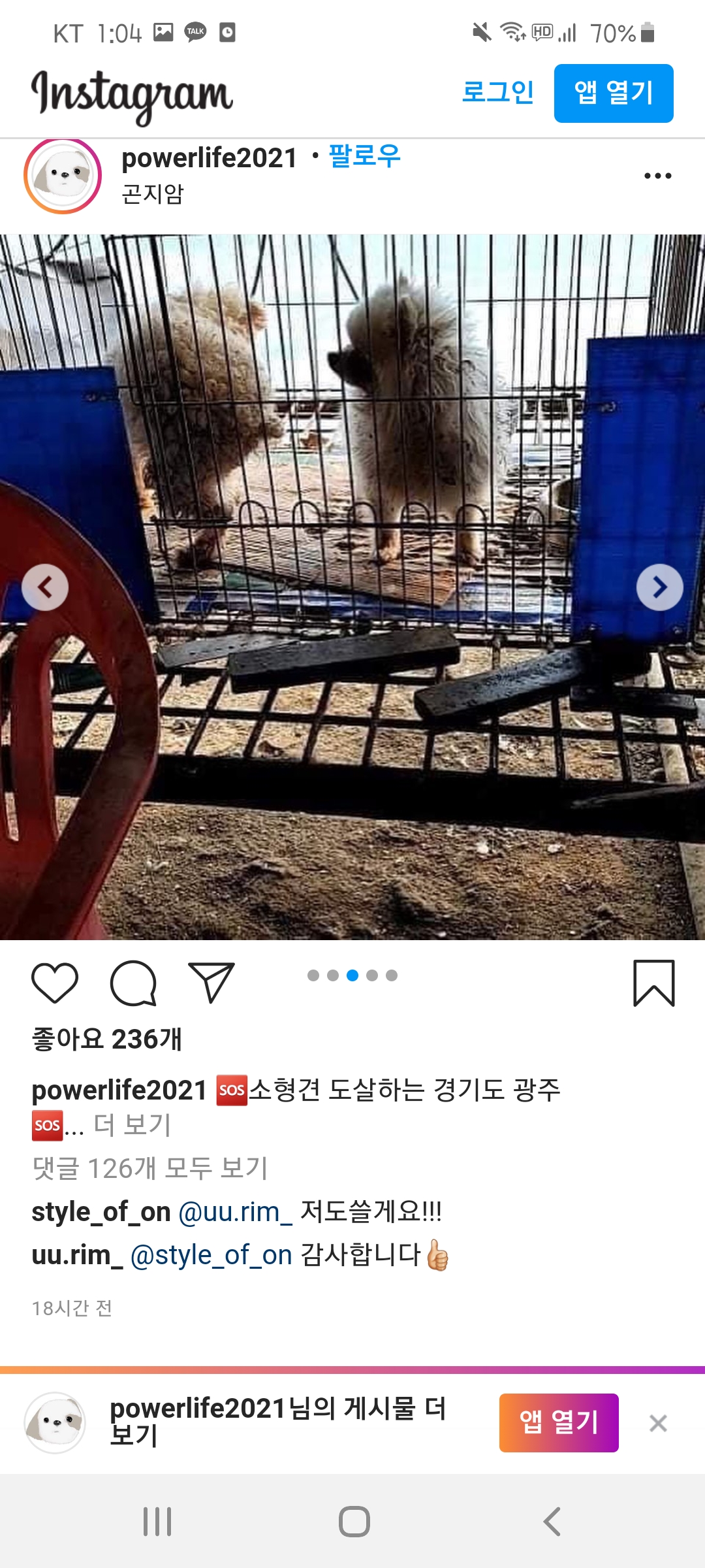 경기 광주시 곤지암읍 참혹한 소형견 불법도살 진행중입니다!!