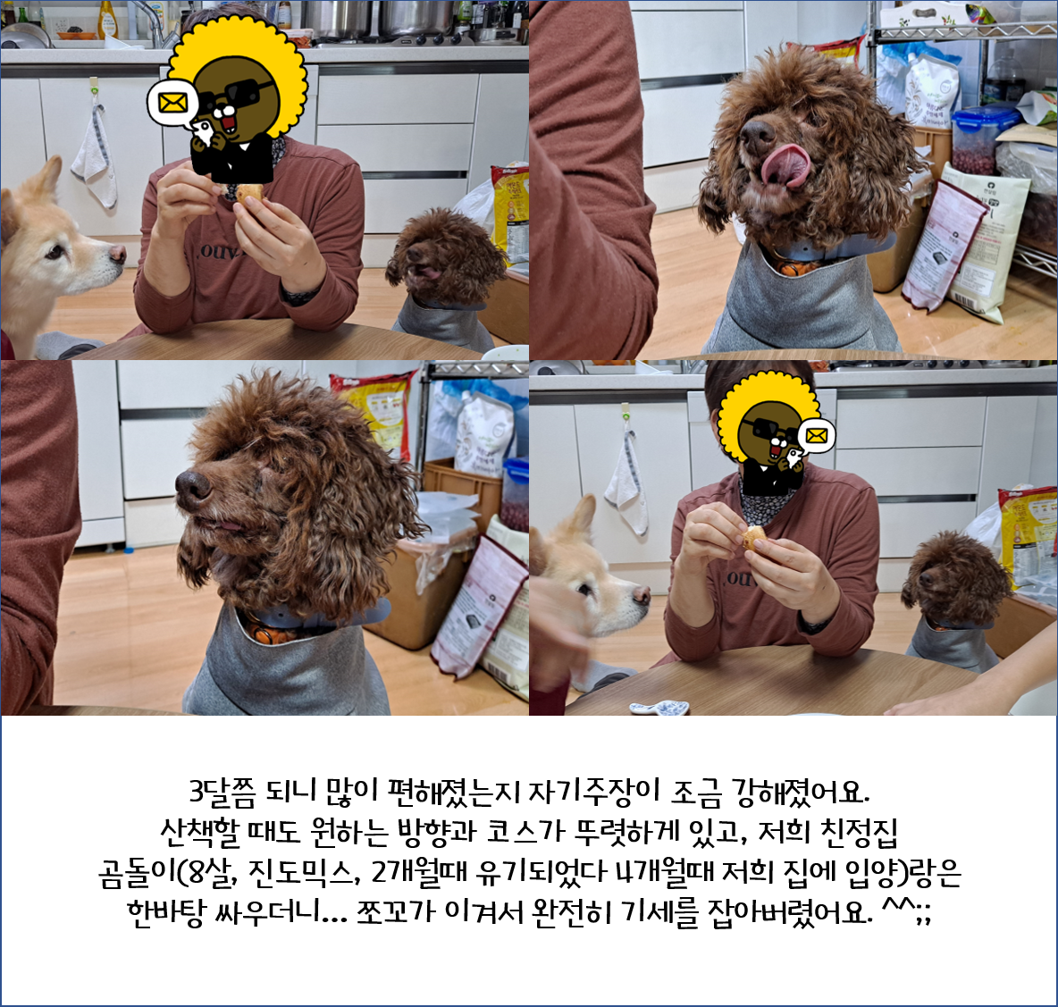 어리광쟁이 사랑둥이 쪼꼬와 함께 한 3달