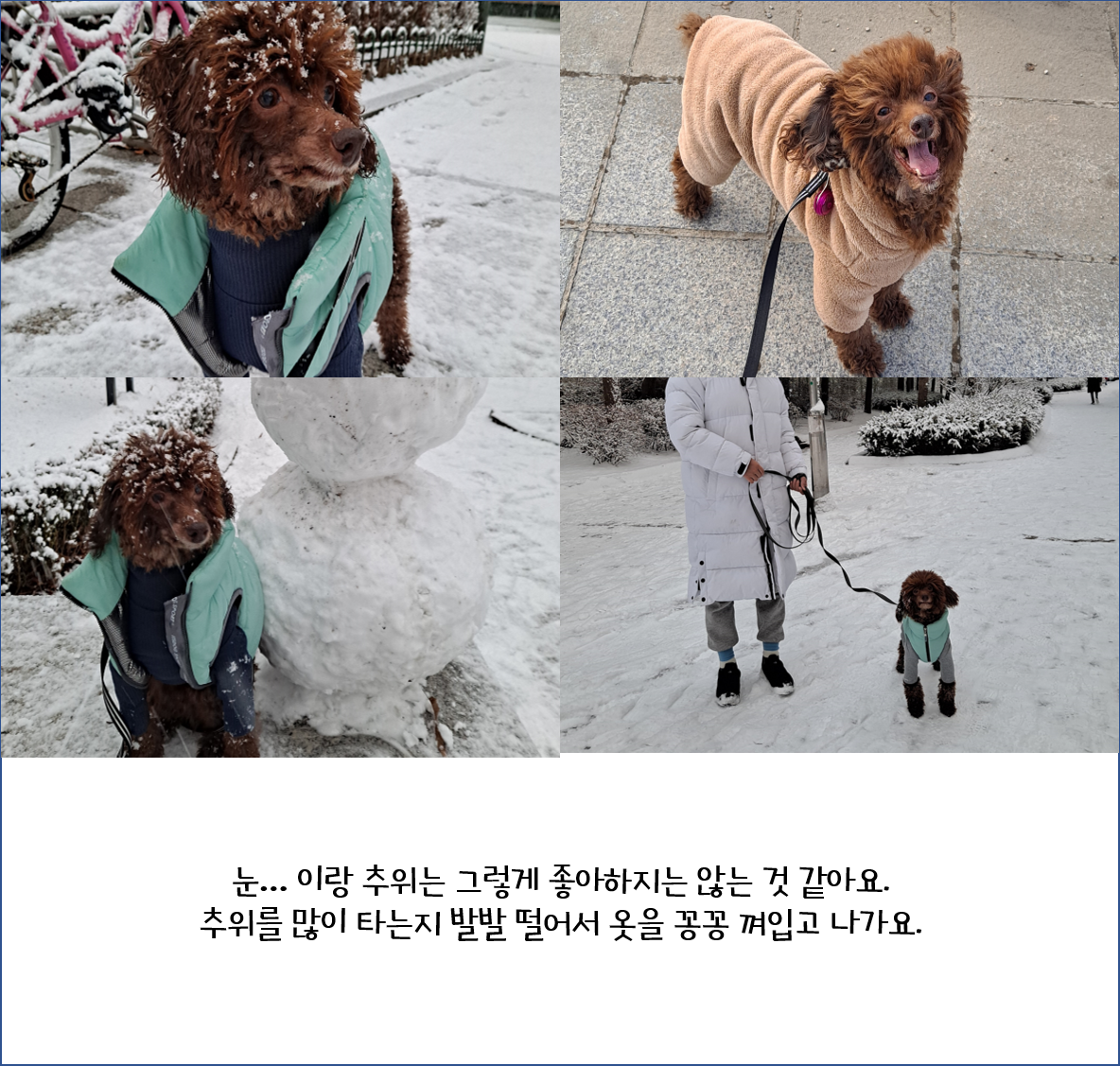 어리광쟁이 사랑둥이 쪼꼬와 함께 한 3달