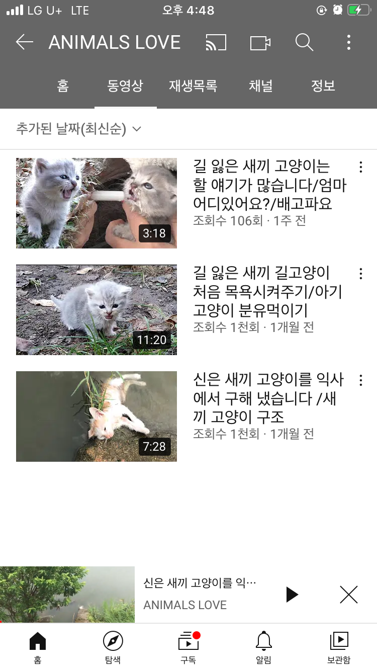 고양이 학대 유투버