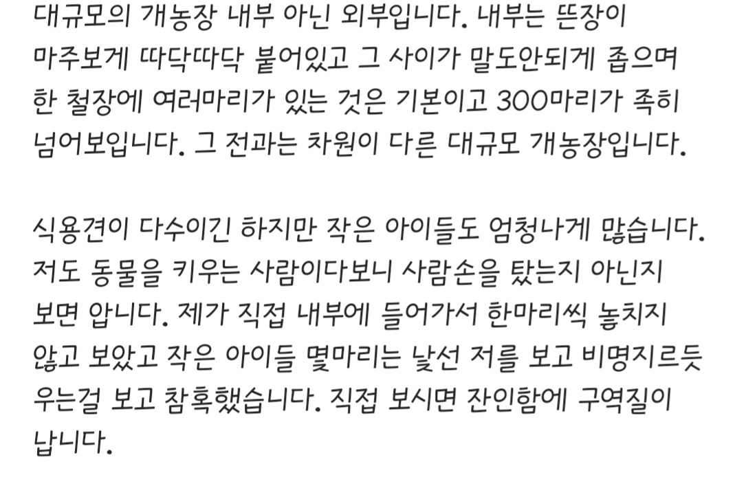 강원도 인제 큰규모의 개농장