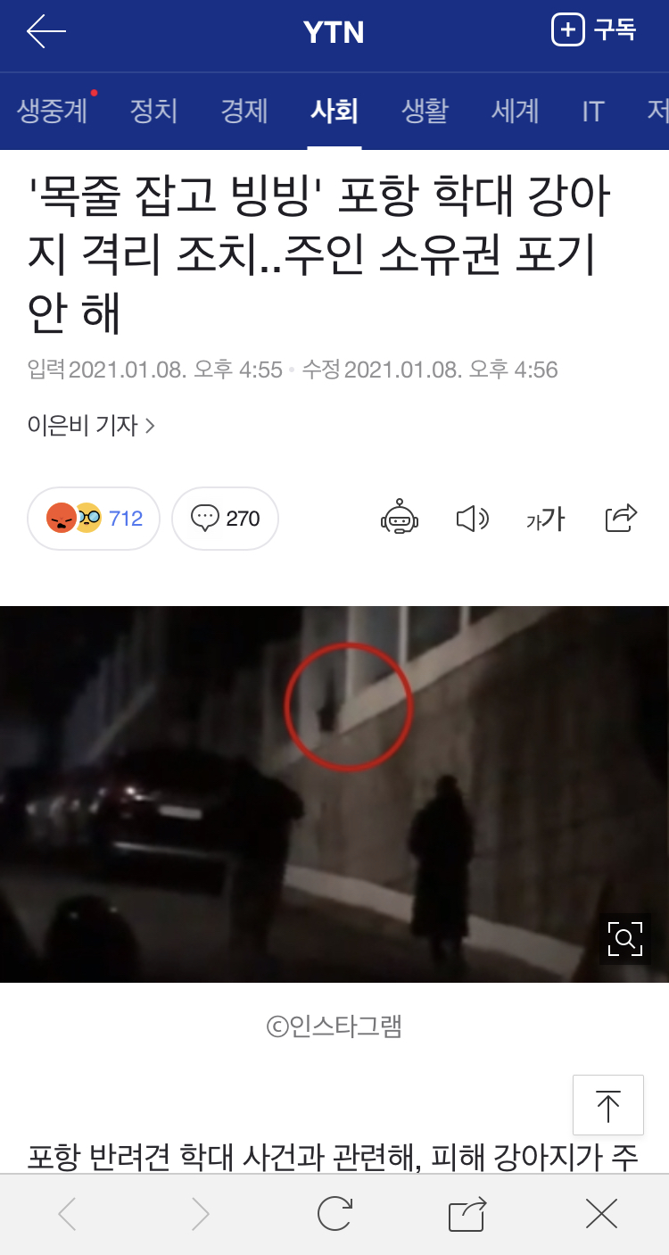 포항 북구 두호동 학대견 소유권포기 관련 포항시 협조 요청