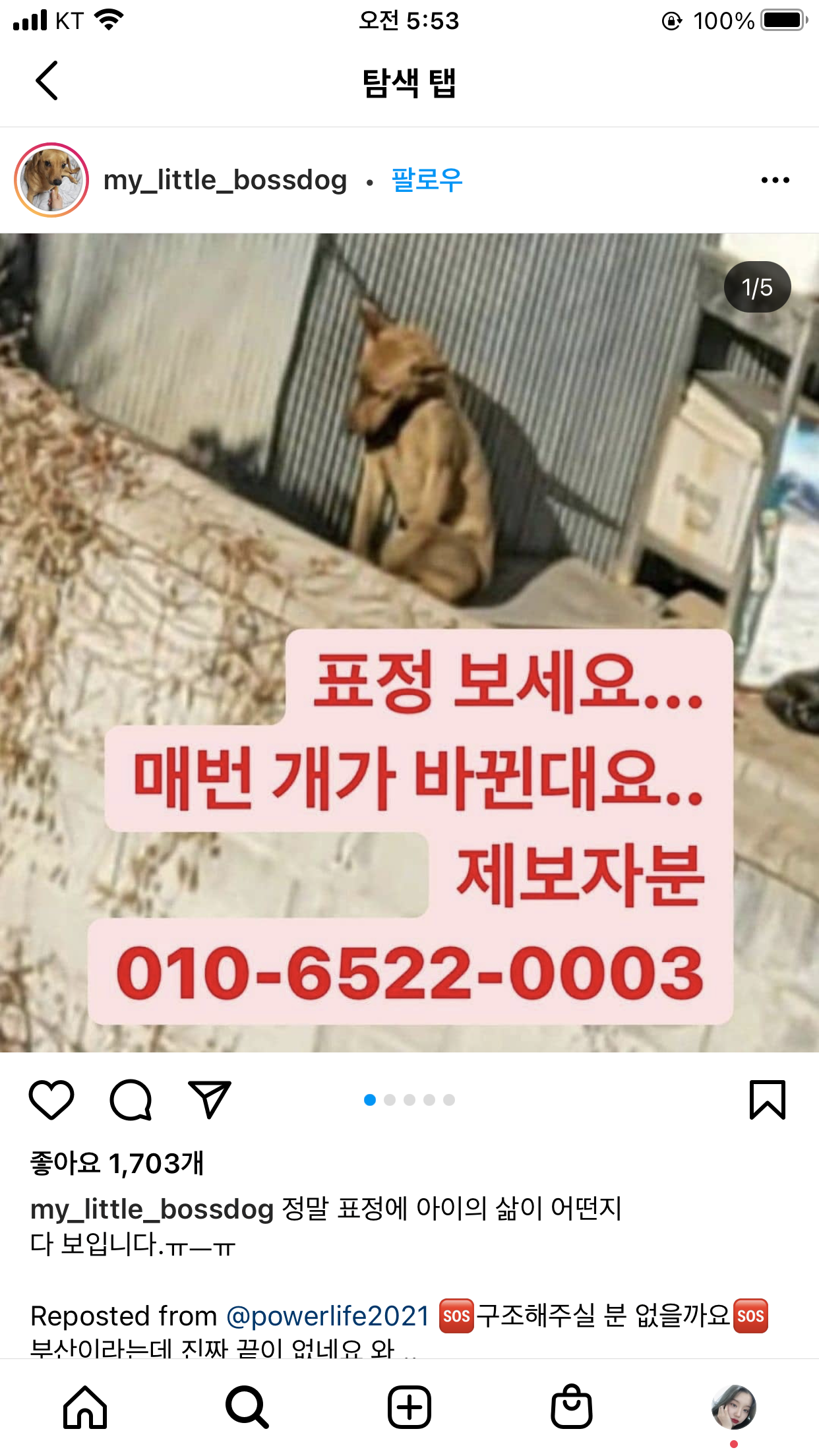1년마다 강아지를 잡아먹습니다.
