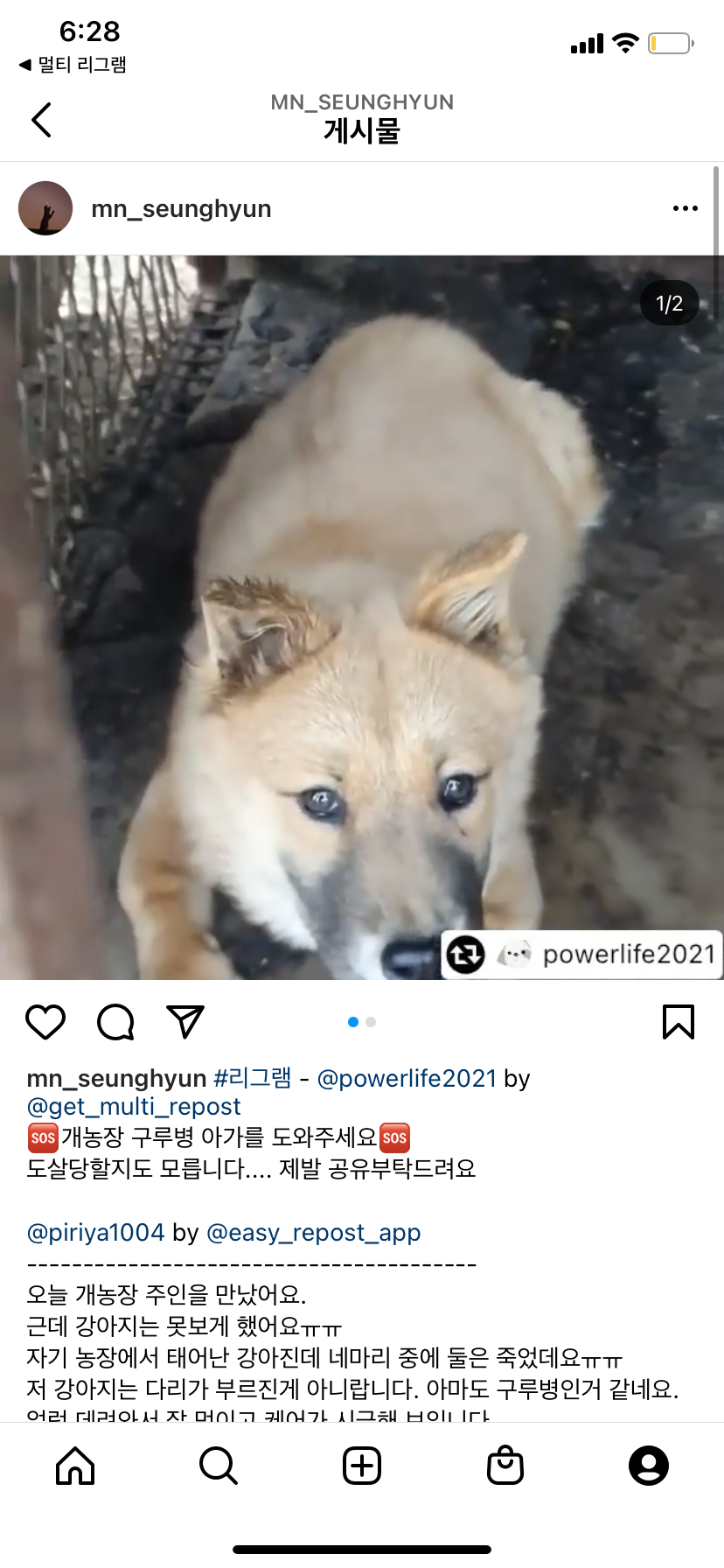 부산 기장에 위치한 개농장 강아지 방치