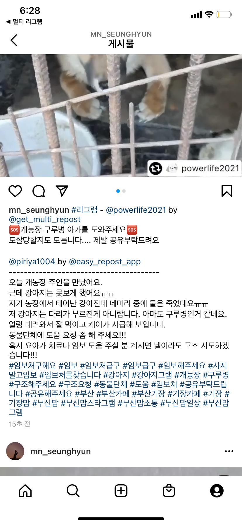 부산 기장에 위치한 개농장 강아지 방치