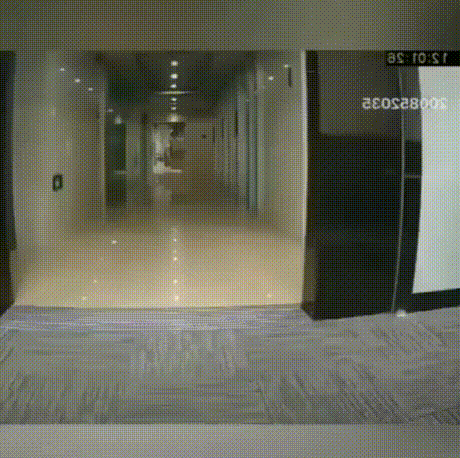 디시인사이드 고양이 학대 사진 게시