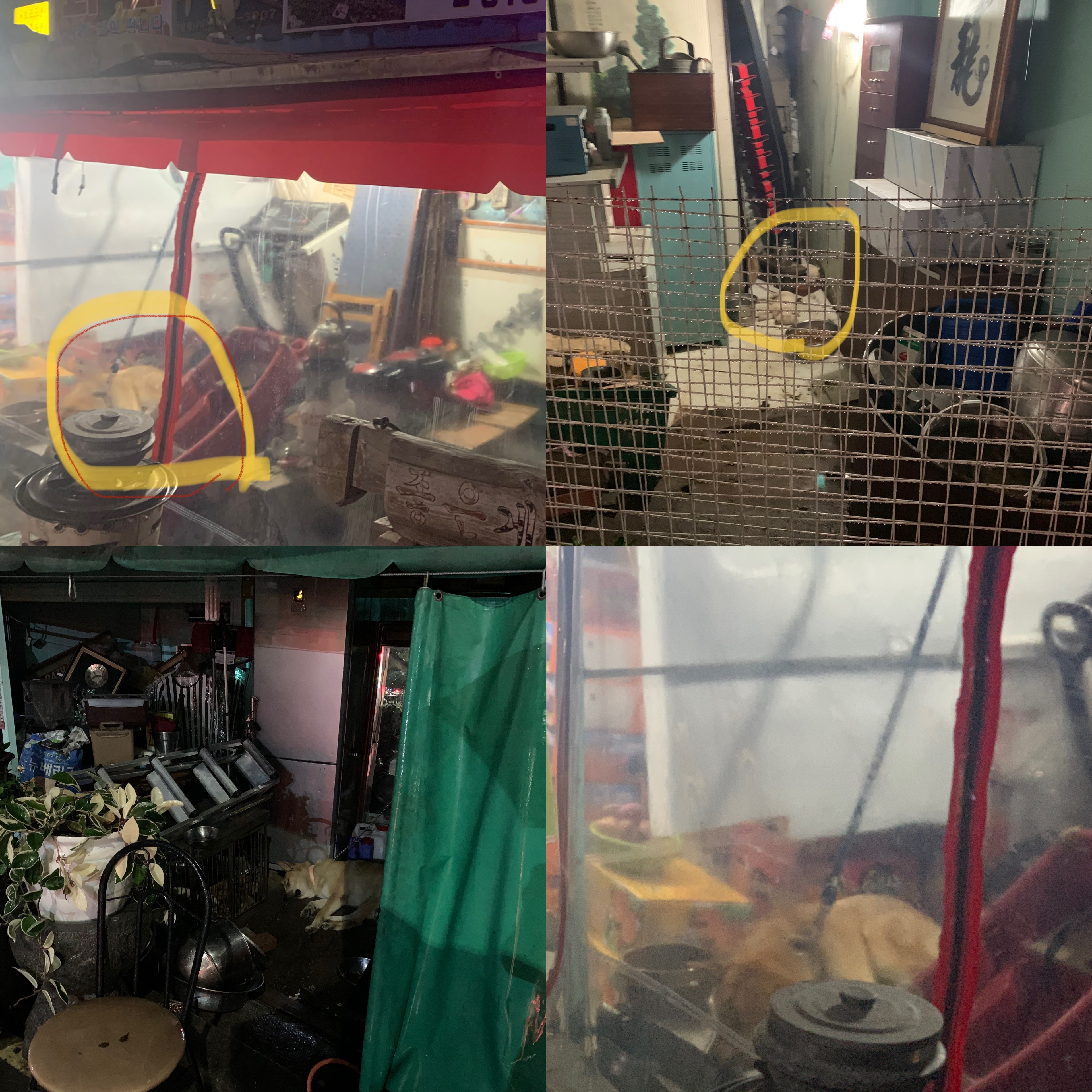 3년 내내 구더기만 먹다 잡아먹히는걸 반복해서 봐야만 하는 현실 제발 구해주세요