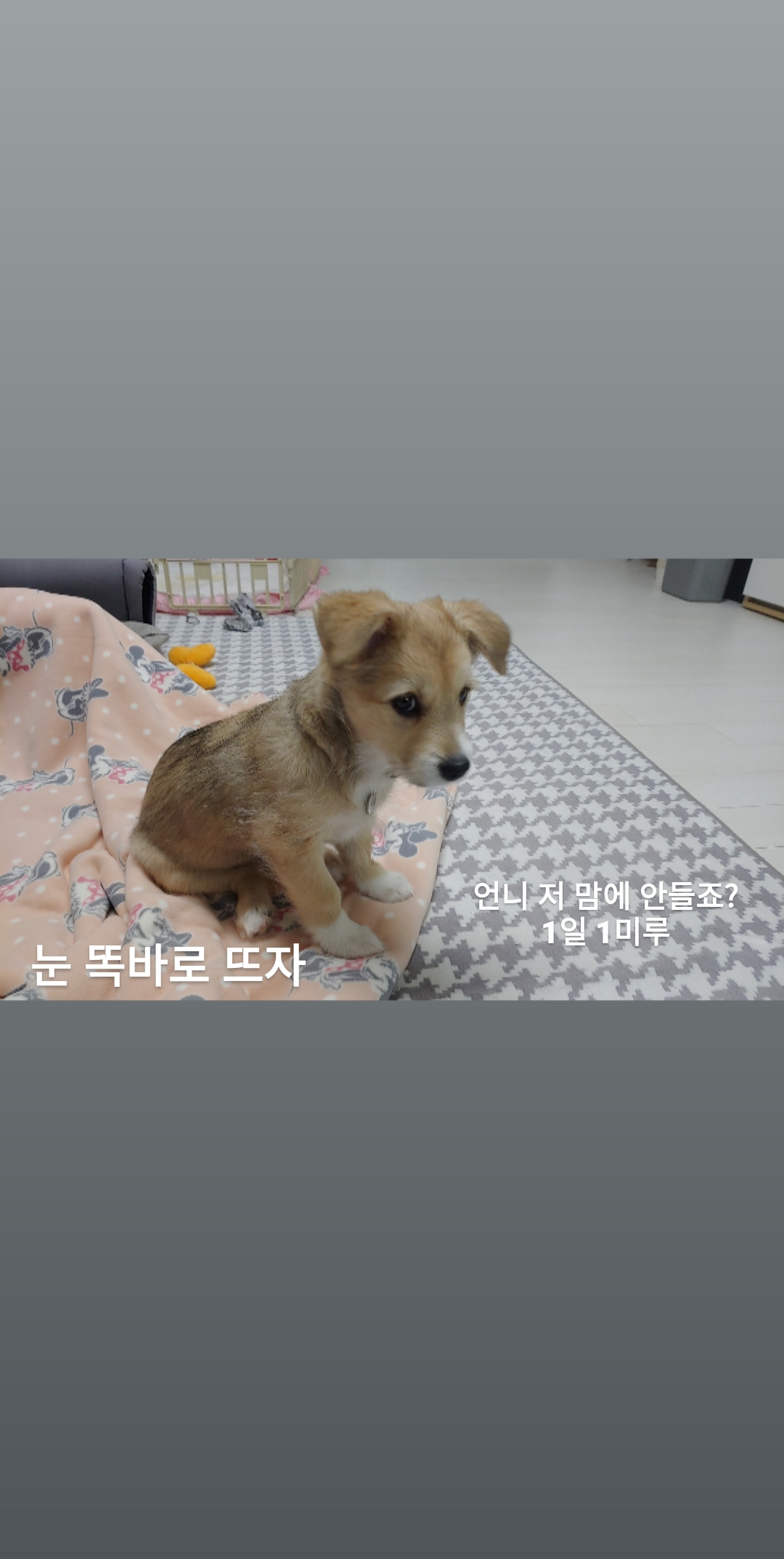 미루 (구 마노) 2주 후기입니다^^