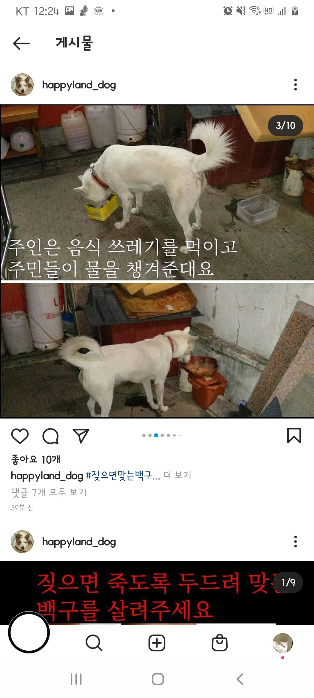 짖으면 방에 가둬두고 맞고 학대 당하는 백구를 제발 구해주세요
