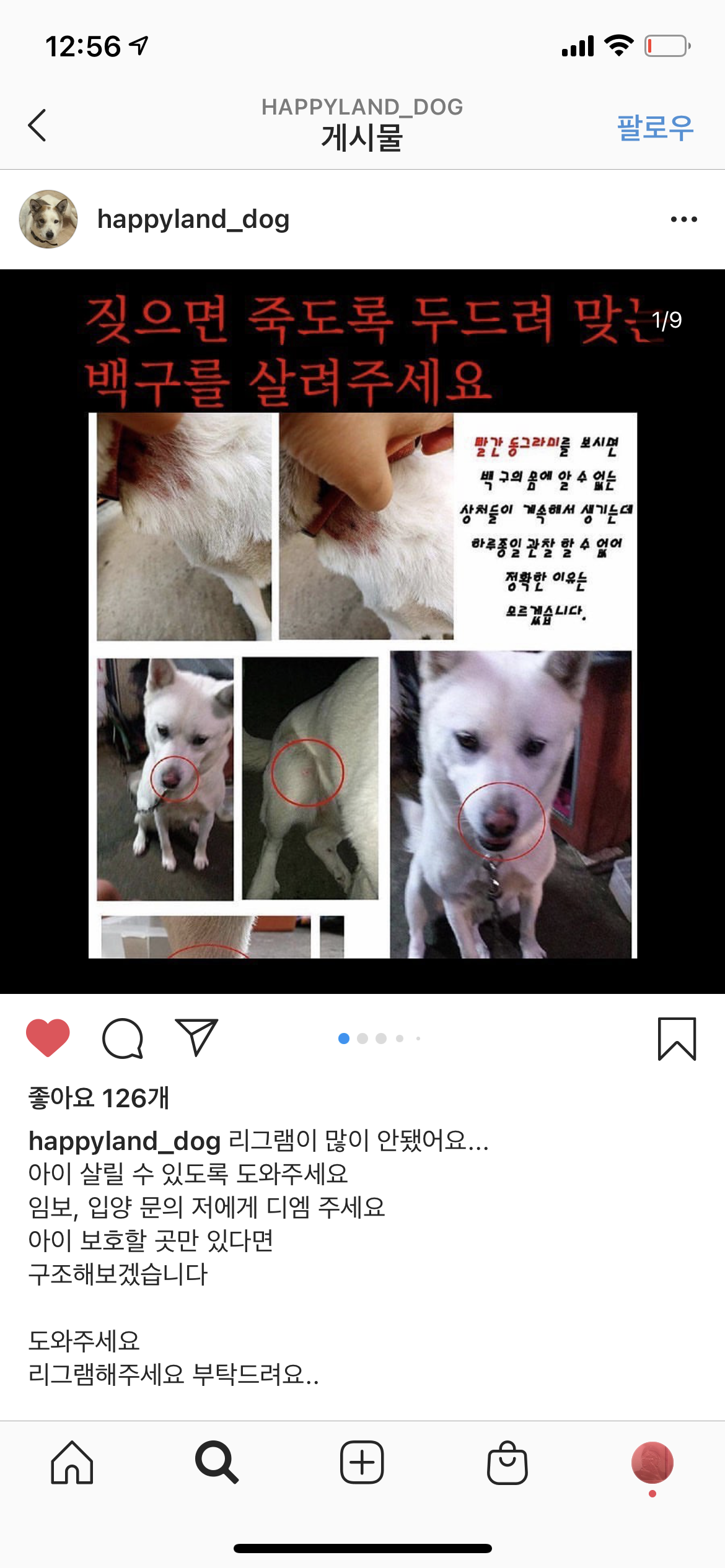 매맞는 백구 구조부탁드립니다!!!!ㅠㅠ