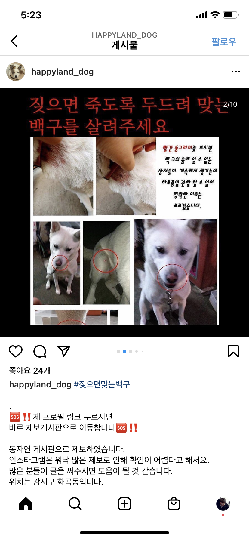 불행한 백구를 구해주세요