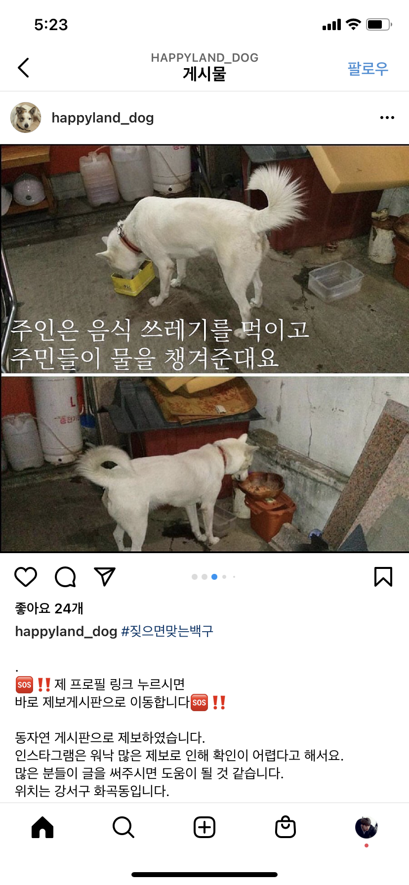 불행한 백구를 구해주세요