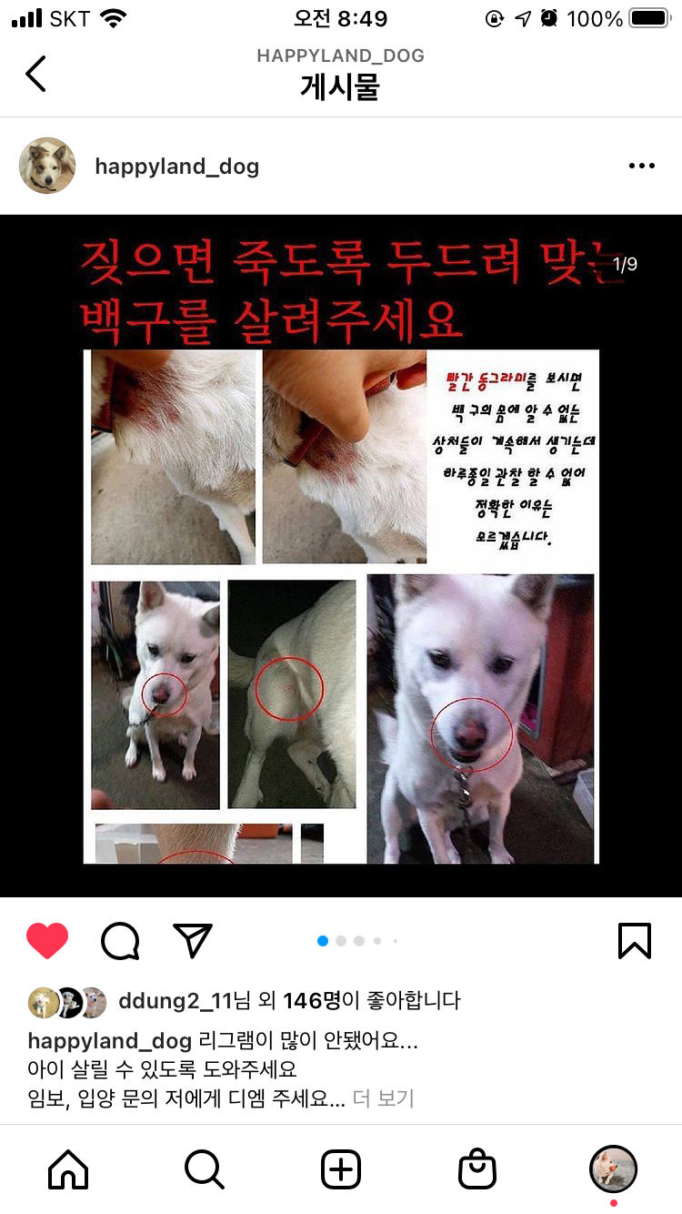매맞는 백구 구해주세요 ㅠ