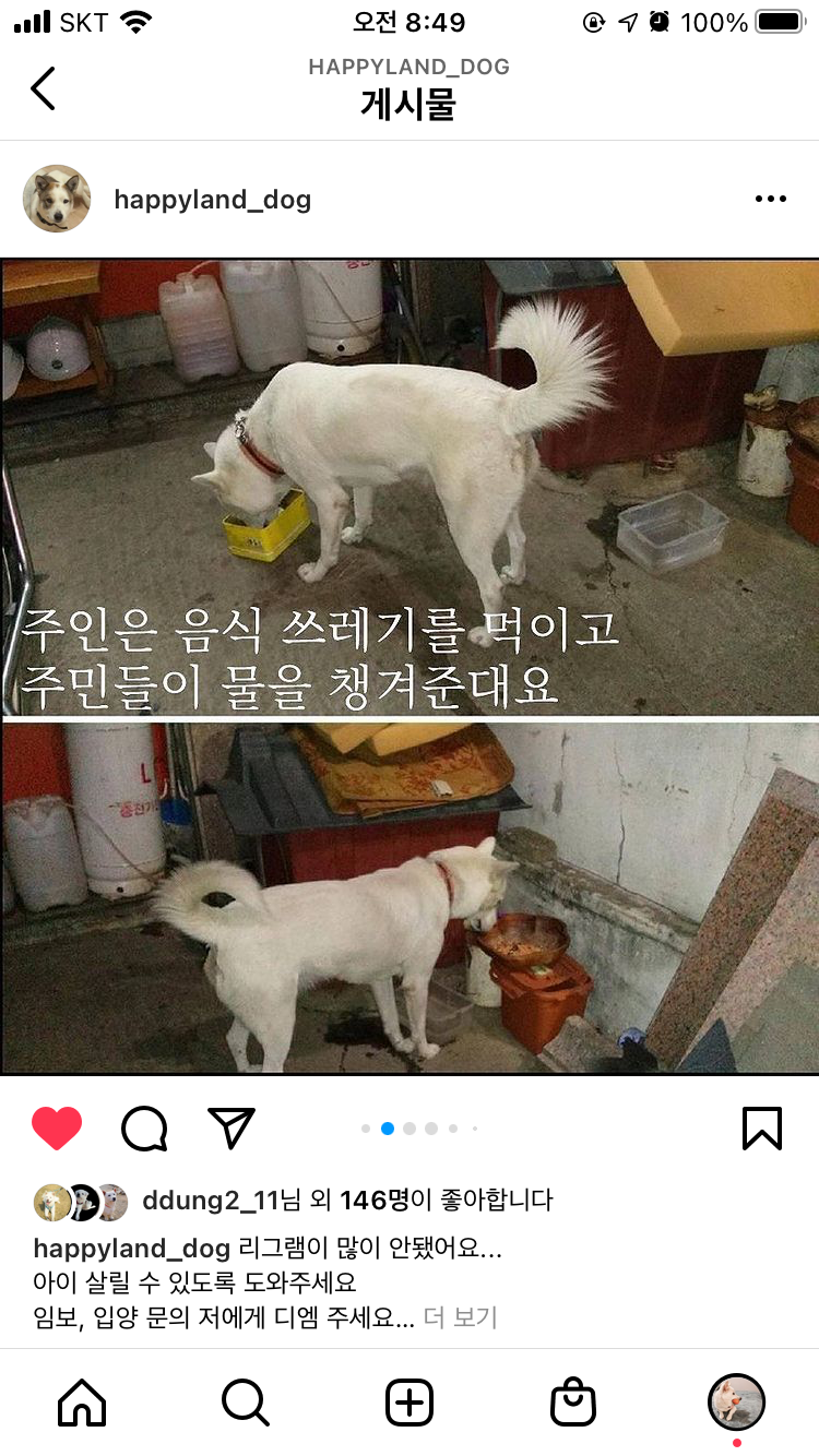 매맞는 백구 구해주세요 ㅠ