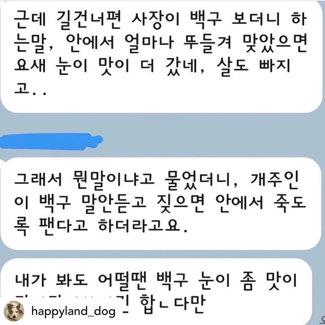 짖으면 맞는 백구를 구해주세요