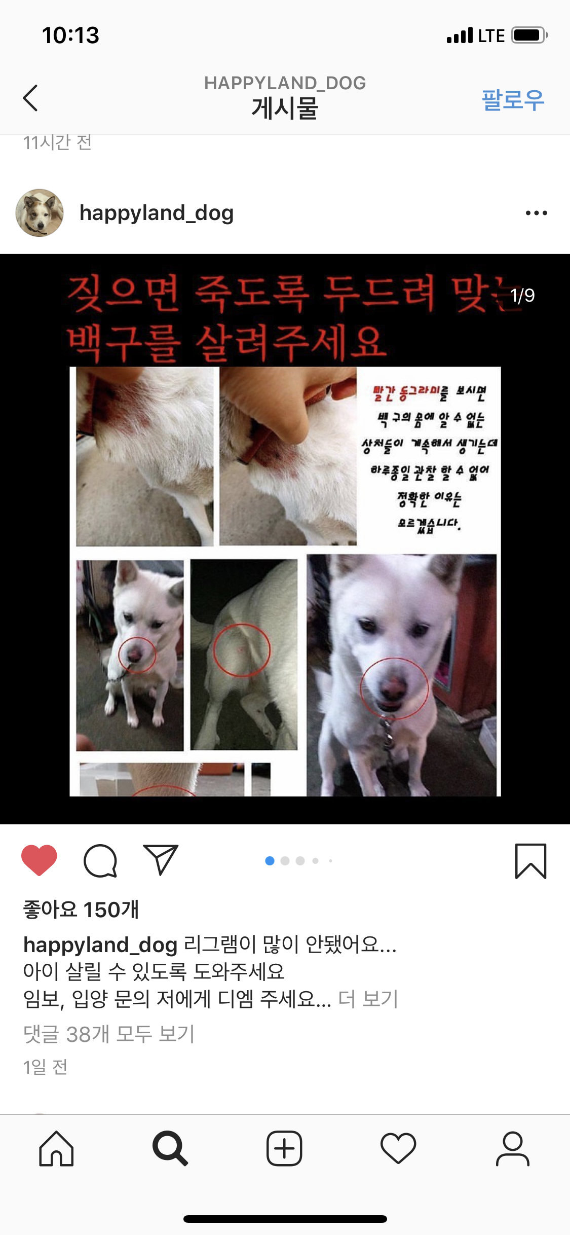 짖으면 맞는 백구를 구해주세요