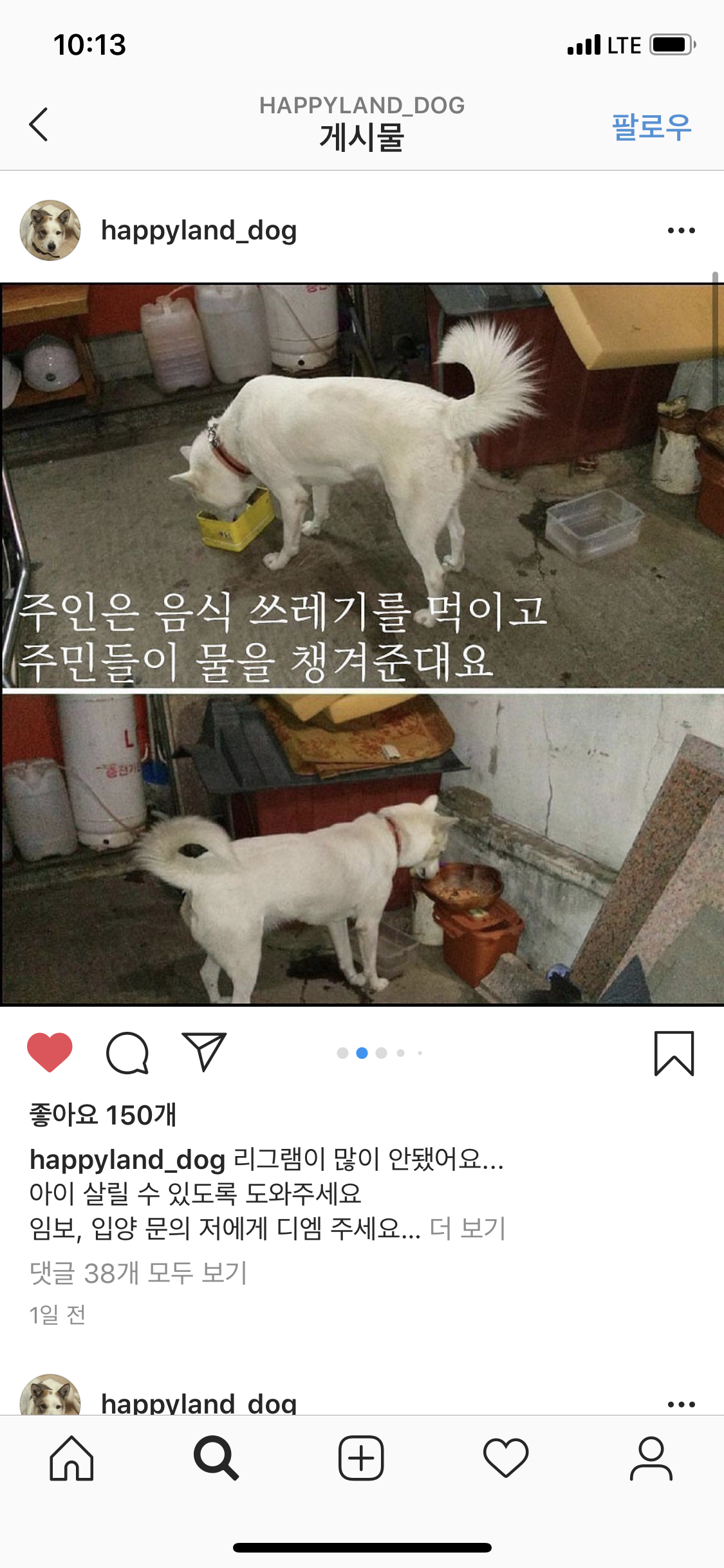 짖으면 맞는 백구를 구해주세요