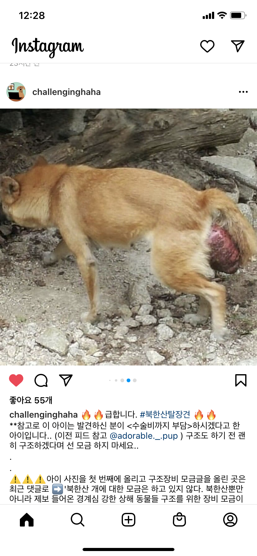 탈장견 구조 부탁드립니다!!
