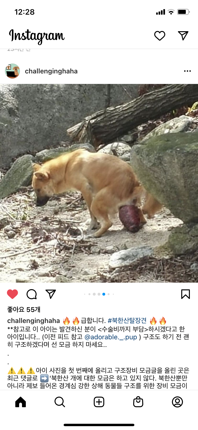 탈장견 구조 부탁드립니다!!
