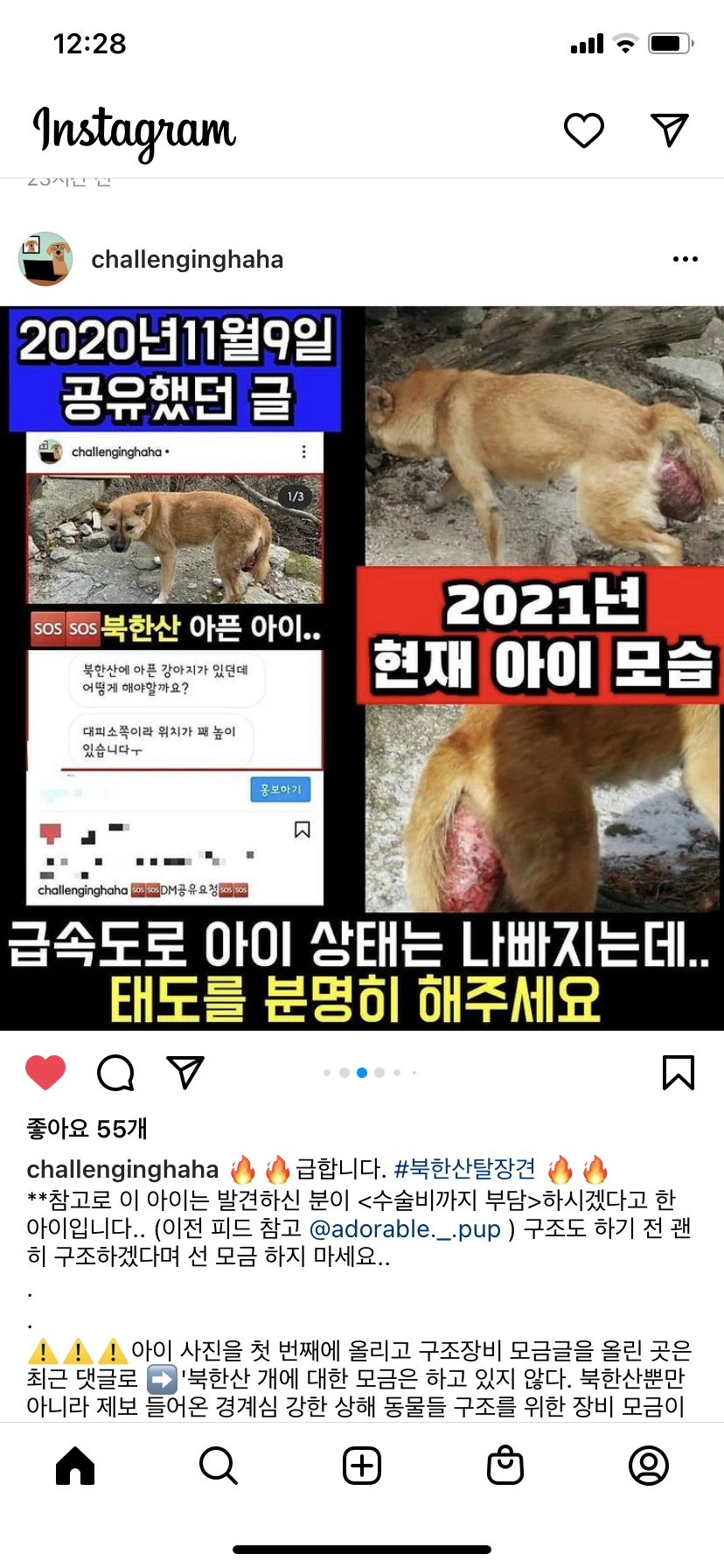 탈장견 구조 부탁드립니다!!