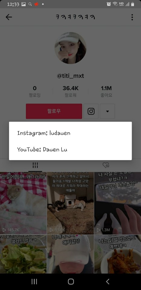 틱톡, 유튜브 고양이 학대하는 영상유포