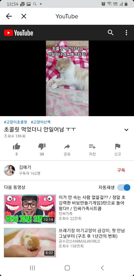틱톡, 유튜브 고양이 학대하는 영상유포