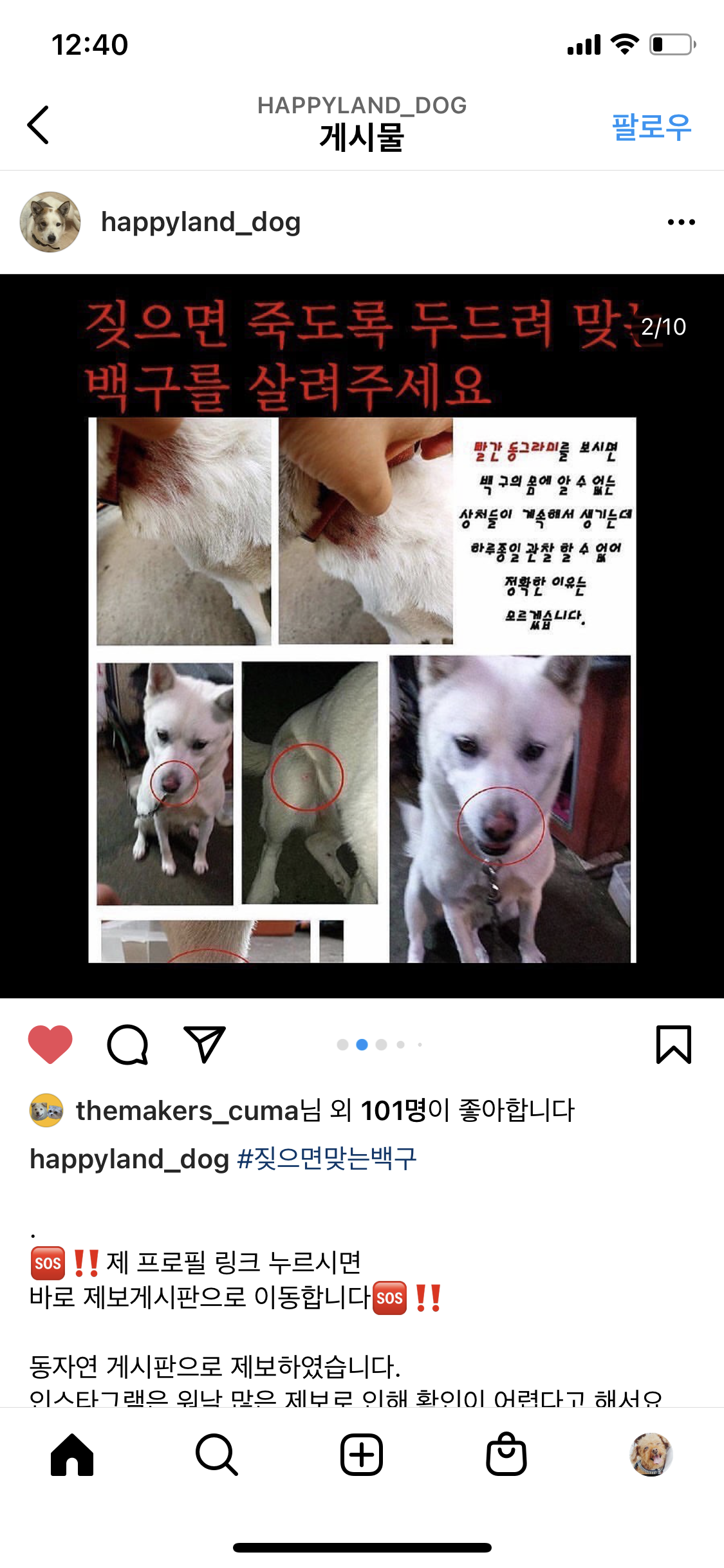 강서구화곡동 백구 살려주세요
