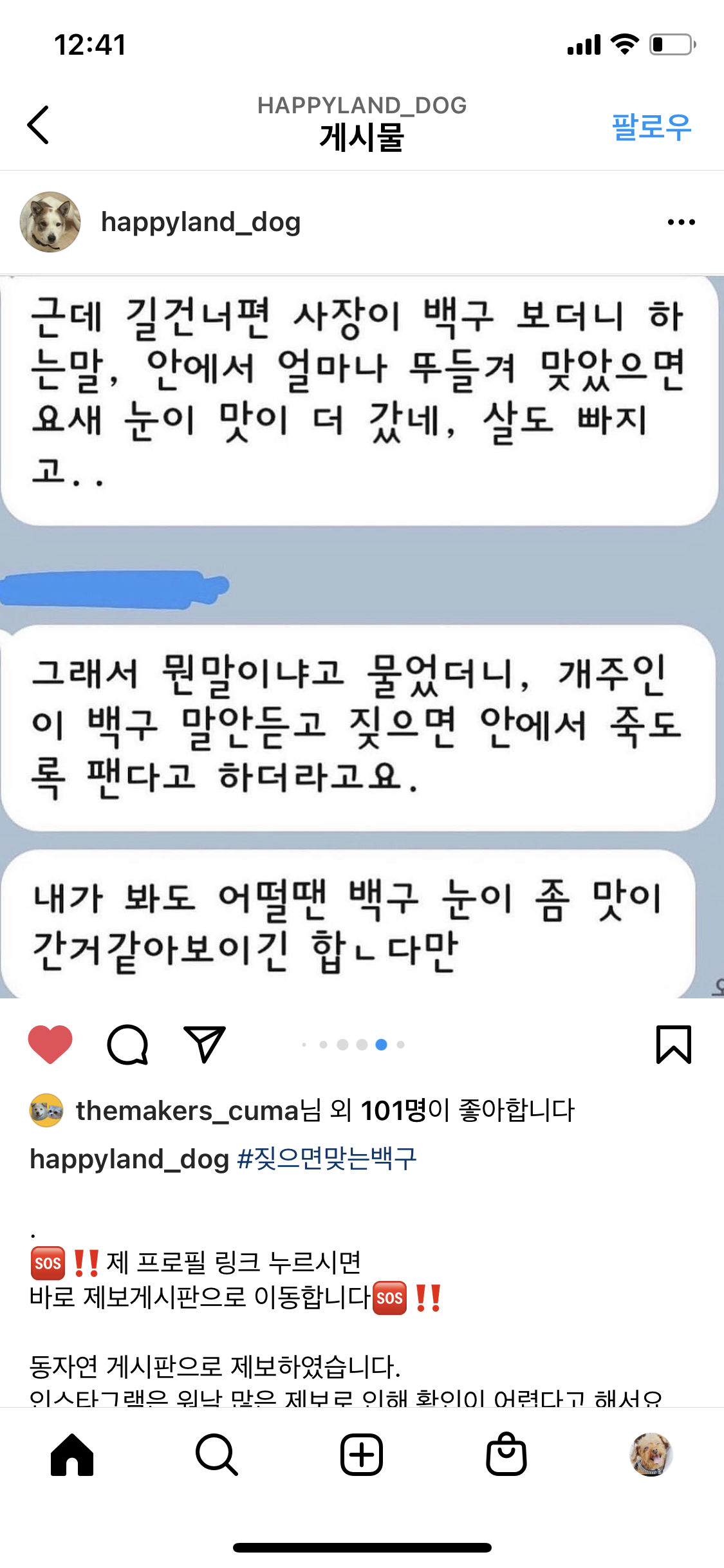강서구화곡동 백구 살려주세요