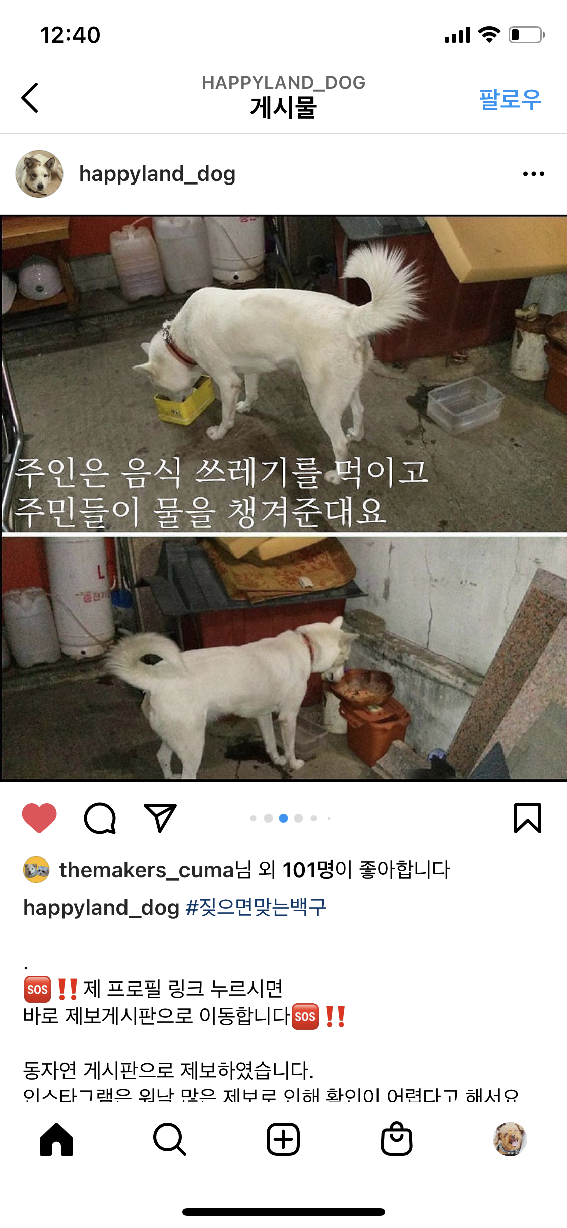 강서구화곡동 백구 살려주세요