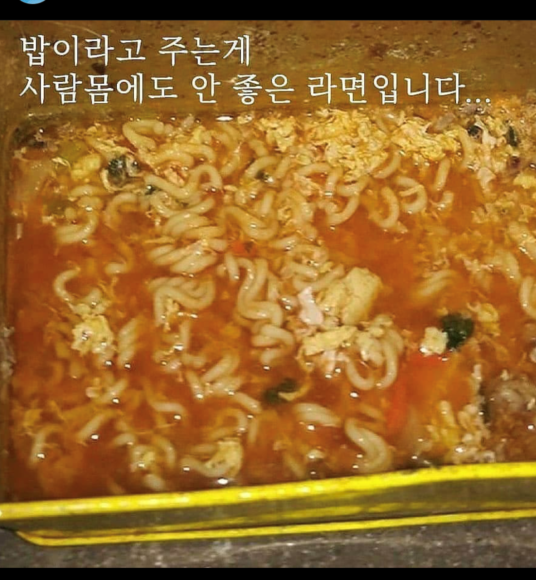  강서구 화곡동 학대당하는 진돗개 구조 해주세요