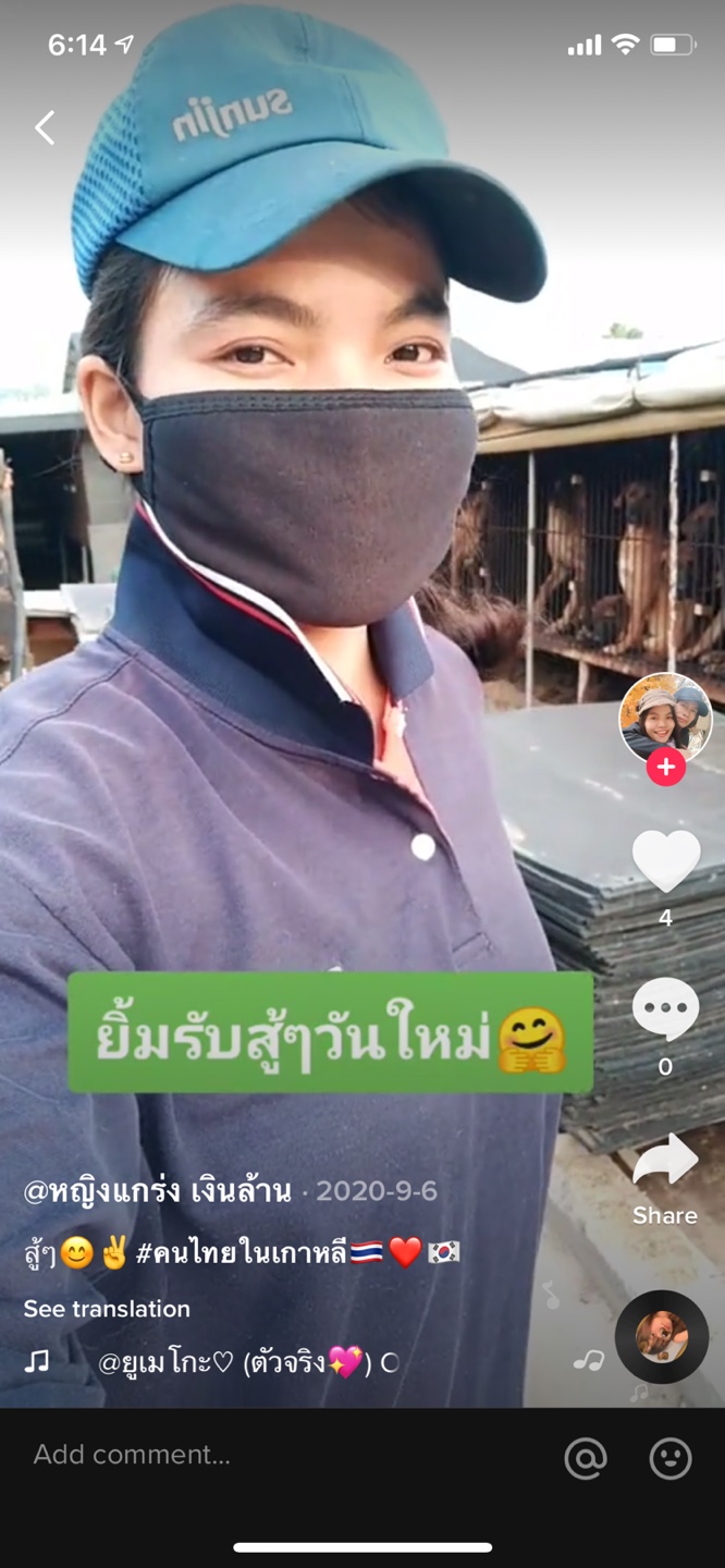 틱톡에 행복하게 웃으면서 개농장영상 올리는 태국여성. 아이들 구해주세요