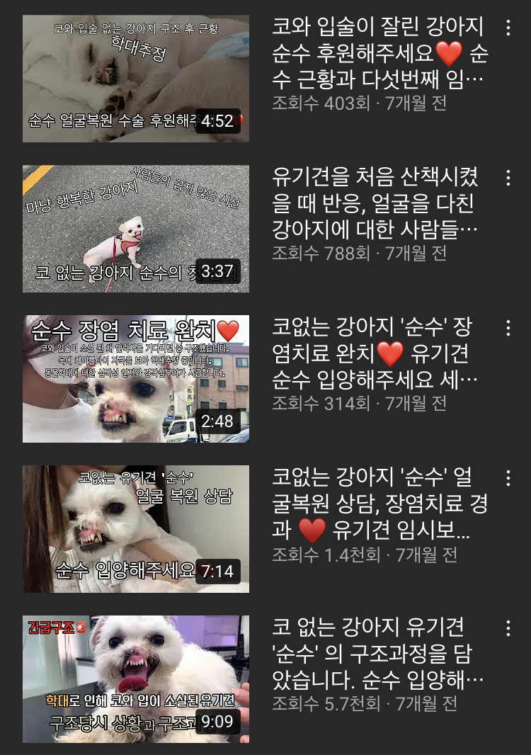 동물학대 법 강화해주세요 제발 부탁드립니다