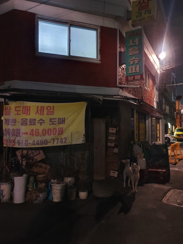 추운날씨 밖에 묶여있는 강아지를 도와주세요