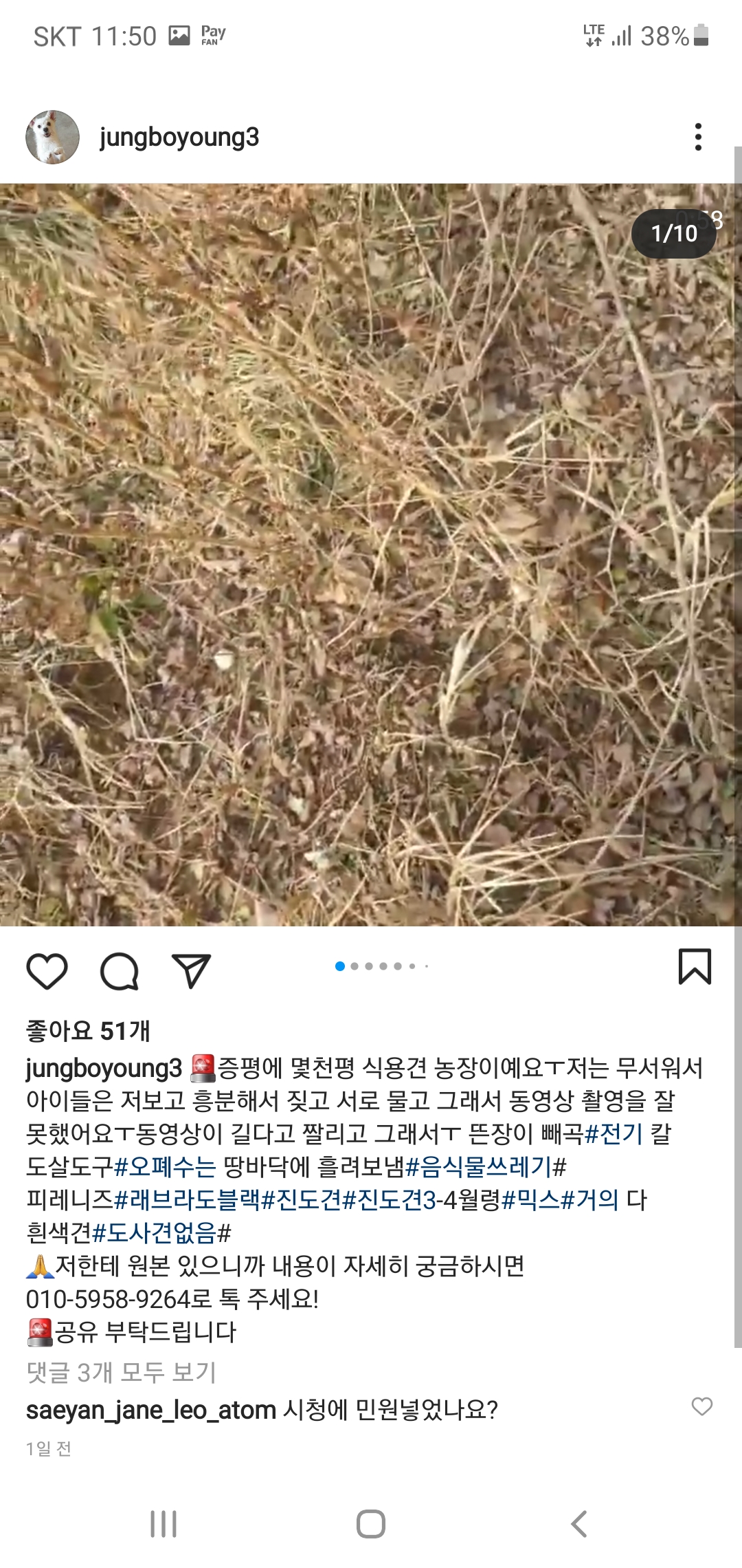 개농장제보요ㅜㅜ