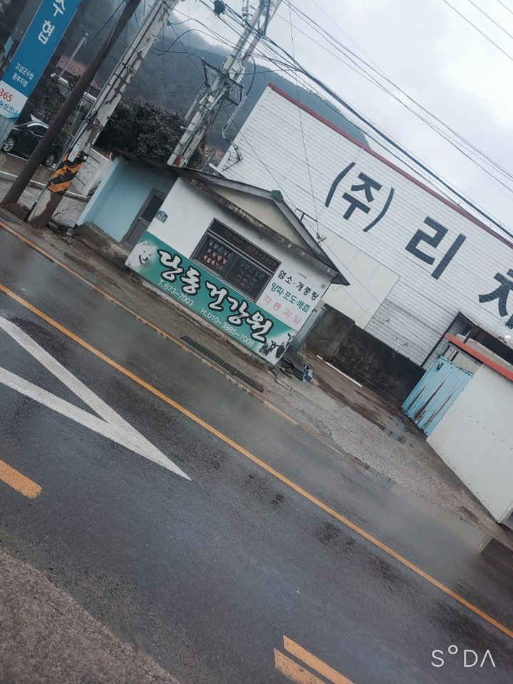 무서워서 도망나온 개를 당당히 죽이는 건강원