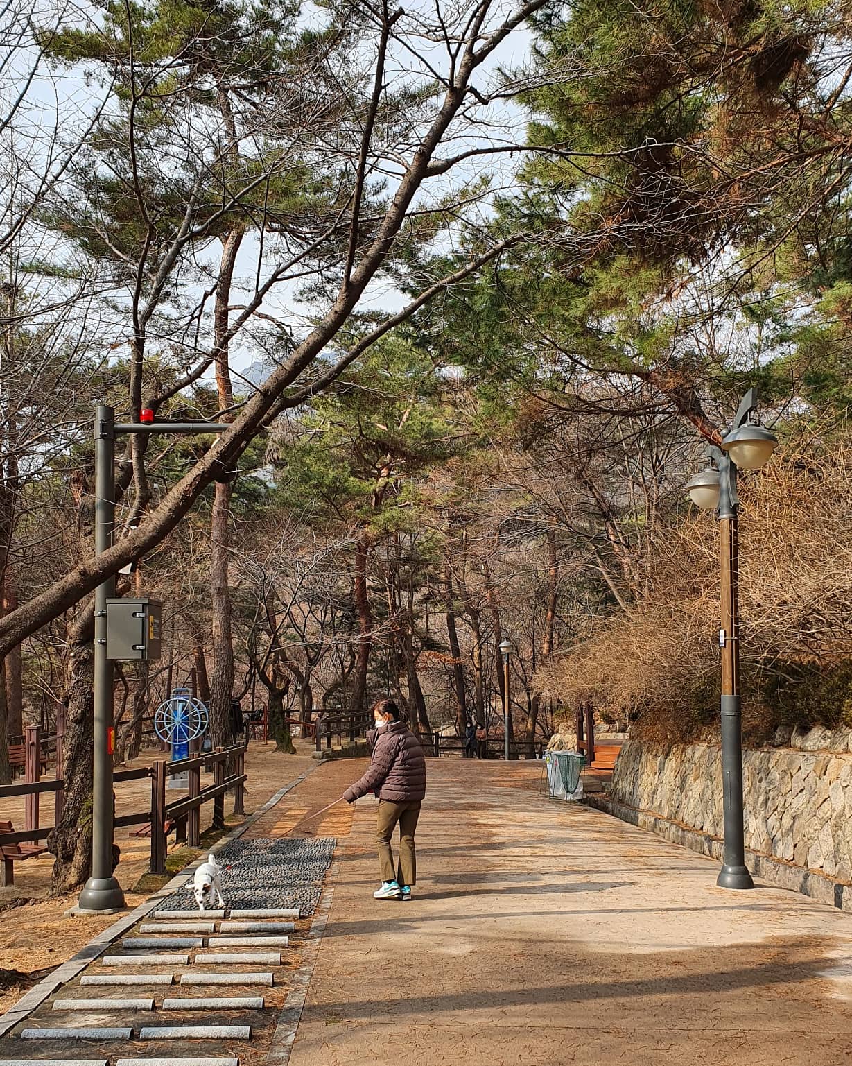 마블 (구 마보) 입양 일주일 이야기
